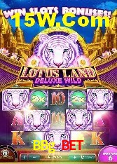 Player Reviews BBg Bet